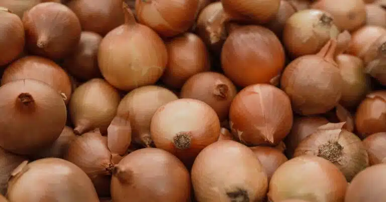 Onion Prices: After tomatoes, now what will onions cry? - Bad news for customers