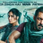 Tiger 3 Movie